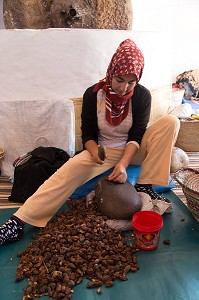 L'HUILE D'ARGAN, SUD D'ESSAOUIRA, MAROC, AFRIQUE DU NORD 