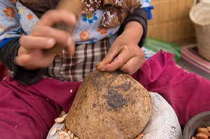 L'HUILE D'ARGAN, SUD D'ESSAOUIRA, MAROC, AFRIQUE DU NORD 