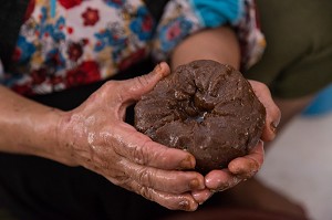 L'HUILE D'ARGAN, SUD D'ESSAOUIRA, MAROC, AFRIQUE DU NORD 
