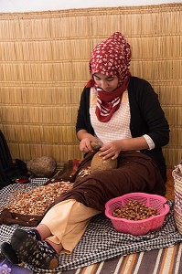 L'HUILE D'ARGAN, SUD D'ESSAOUIRA, MAROC, AFRIQUE DU NORD 