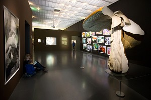 EXPOSITION JARDIN INFINI, DE GIVERNY A L'AMAZONIE, CENTRE POMPIDOU METZ, (57) MOSELLE, LORRAINE 