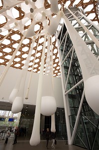 EXPOSITION JARDIN INFINI, DE GIVERNY A L'AMAZONIE, CENTRE POMPIDOU METZ, (57) MOSELLE, LORRAINE 