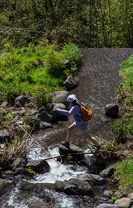 PROMENADE A LA LEVADA NOVA, CERISIERS EN FLEURS, ILE DE MADERE, PORTUGAL 