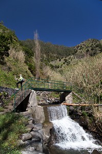 PROMENADE A LA LEVADA NOVA, ILE DE MADERE, PORTUGAL 