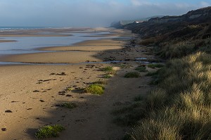 LES PLAGES DE WISSANT, CAP BLANC NEZ, WISSANT, (62) PAS DE CALAIS, HAUTS-DE-FRANCE, FRANCE 