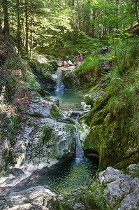 SUR LES PAS DE L'ORLOGEUR, REGION MORTEAU, PROMENADE FLUVIALE SUR LE DOUBS DE BESANCON A LA FRONTIERE SUISSE, (25) DOUBS, BOURGOGNE-FRANCHE-COMTE, FRANCE 