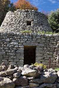 BALADE INSOLITE SUR LES TERRASSES EN PIERRES SECHES ET DE BORIES AU MOULIN DU MAS DES BORIES, DOMAINE OLEICOLE, CHEMIN DE LA COUSTADE, (13) SALON-DE-PROVENCE, REGION SUD, PROVENCE ALPES COTES D'AZUR, FRANCE 