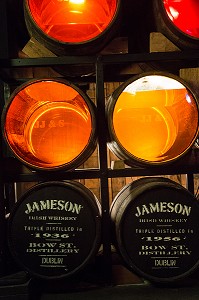 FUTS ET TONNEAUX DE WHISKEY IRLANDAIS, THE OLD JAMESON DISTILLERY, ANCIENNE DISTILLERIE DE WHISKEY, BOW STREET, DUBLIN, IRLANDE 