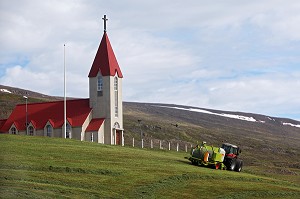 PAYSAGE AVEC EGLISE ET FENAISON, RAMASSAGE DU FOIN, ENVIRON D'AKUREYRI, NORD DE L'ISLANDE, EUROPE, ISLANDE