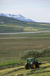 PAYSAGE AVEC EGLISE ET FENAISON, RAMASSAGE DU FOIN, ENVIRON D'AKUREYRI, NORD DE L'ISLANDE, EUROPE, ISLANDE