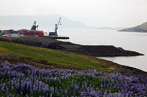 USINE D'ALUMINIUM D' ALCOA PRES DE LA VILLE DE REYDARFJORDUR, PROJET CONTROVERSE CAUSE DEGATS ECOLOGIQUES, ISLANDE DE L'EST, EUROPE, ISLANDE 