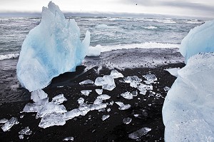 PLAGE DE SABLE NOIR ET ICEBERGS DU LAC JOKULSARLON, PROLONGEMENT DU GLACIER VATNAJOKULL OU GLACIER DES EAUX, LA PLUS GRANDE CALOTTE GLACIAIRE D'ISLANDE, VOIRE D'EUROPE 