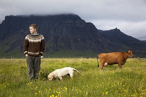 JEUNE AGRICULTEUR ISLANDAIS AVEC SES VACHES DE RACE ISLANDAISE ET SON CHIEN, COTE SUD DE L'ISLANDE, EUROPE 