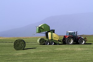 AGRICULTURE EN ISLANDE, EUROPE 