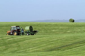 AGRICULTURE EN ISLANDE, EUROPE 