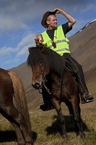 ELEVAGE DU CHEVAL ISLANDAIS, ISLANDE, EUROPE 