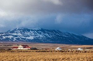 AGRICULTURE EN ISLANDE, EUROPE 
