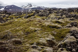 MONTAGNES ET VOLCANS, PAYSAGES D’ISLANDE, EUROPE 