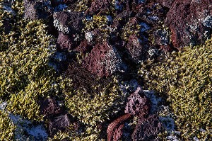 MONTAGNES ET VOLCANS, PAYSAGES D’ISLANDE, EUROPE 