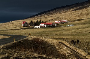 AGRICULTURE EN ISLANDE, EUROPE 