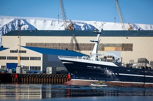 DECOUVERTE DE L’ISLANDE 