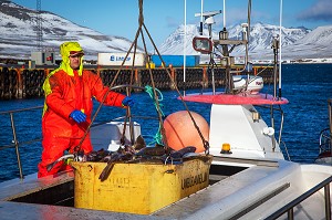 DECOUVERTE DE L’ISLANDE 