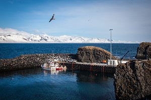 DECOUVERTE DE L’ISLANDE 