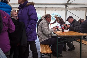 CHEVAUX ISLANDAIS ET EQUITATION, ISLANDE, EUROPE 