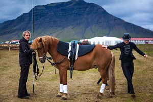 CHEVAUX ISLANDAIS ET EQUITATION, ISLANDE, EUROPE 