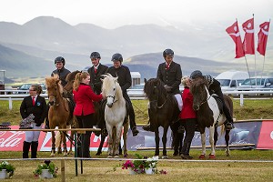 CHEVAUX ISLANDAIS ET EQUITATION, ISLANDE, EUROPE