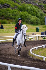 CHEVAUX ISLANDAIS ET EQUITATION, ISLANDE, EUROPE 