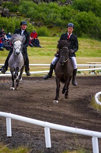 CHEVAUX ISLANDAIS ET EQUITATION, ISLANDE, EUROPE 