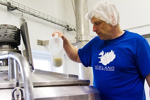 FROMAGES ET PRODUITS LAITIERS ISLANDAIS, ISLANDE, EUROPE 