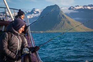 OBSERVATION DES BALEINES EN ISLANDE, EUROPE 