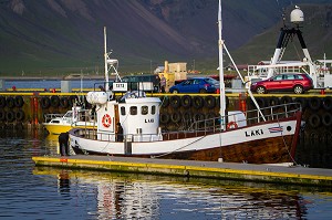 OBSERVATION DES BALEINES EN ISLANDE, EUROPE 