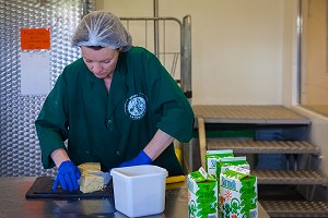 FROMAGES ET PRODUITS LAITIERS ISLANDAIS, ISLANDE, EUROPE