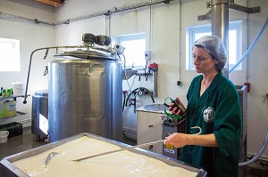 FROMAGES ET PRODUITS LAITIERS ISLANDAIS, ISLANDE, EUROPE 