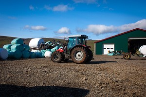 FERME, AGRICULTURE EN ISLANDE, EUROPE 