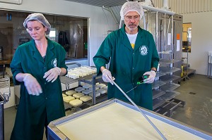 FROMAGES ET PRODUITS LAITIERS ISLANDAIS, ISLANDE, EUROPE 
