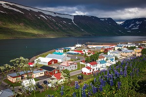 SUDUREYRI, FJORDS DE L’OUEST, ISLANDE, EUROPE 