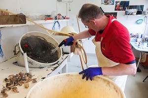 INDUSTRIE DE LA PECHE EN ISLANDE, EUROPE 
