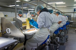 INDUSTRIE DU POISSON, ISLANDE, EUROPE 