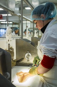 INDUSTRIE DU POISSON, ISLANDE, EUROPE 