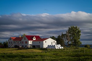 FERME, AGRICULTURE EN ISLANDE, EUROPE