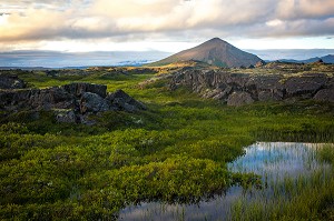 SITE VOLCANIQUE DU LAC MYVATN, ISLANDE, EUROPE 