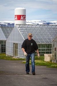 AGRICULTURE ET GEOTHERMIE, ISLANDE, EUROPE 