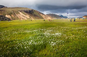 RANDONNEE DANS LE LANDMANNALAUGAR, ISLANDE, EUROPE 
