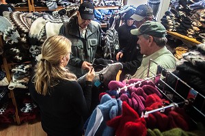 REYKJAVIK, CAPITALE DE L’ISLANDE, EUROPE 