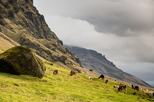 VOYAGE EN ISLANDE, EUROPE 