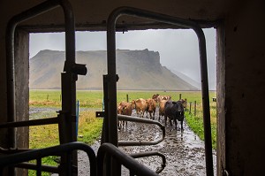 VOYAGE EN ISLANDE, EUROPE 